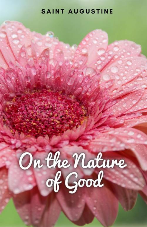 On the Nature of Good